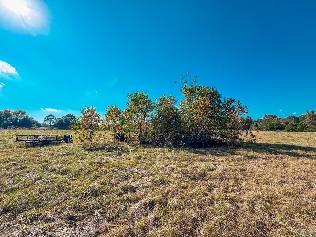 4.97 acres in ANDERSON County - photo 4