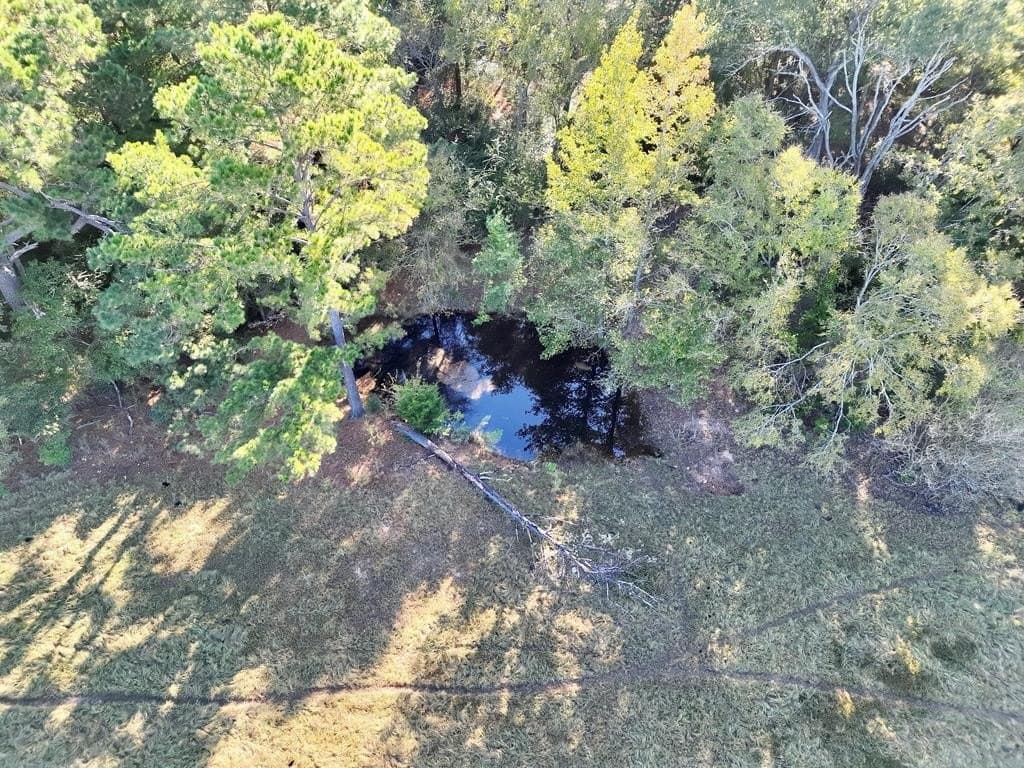 4.97 acres in ANDERSON County - photo 40