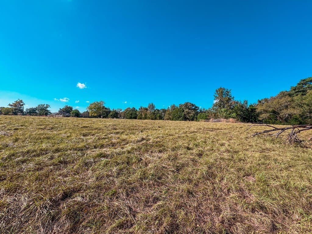 4.97 acres in ANDERSON County - photo 6
