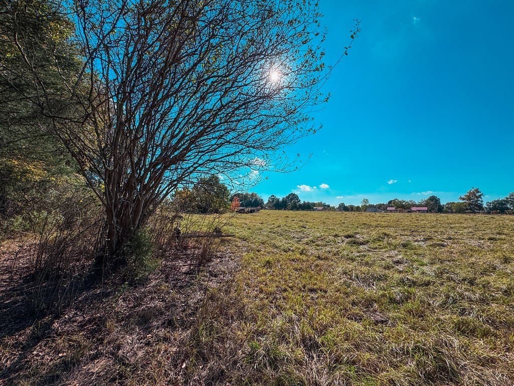 4.97 acres in ANDERSON County - photo 12