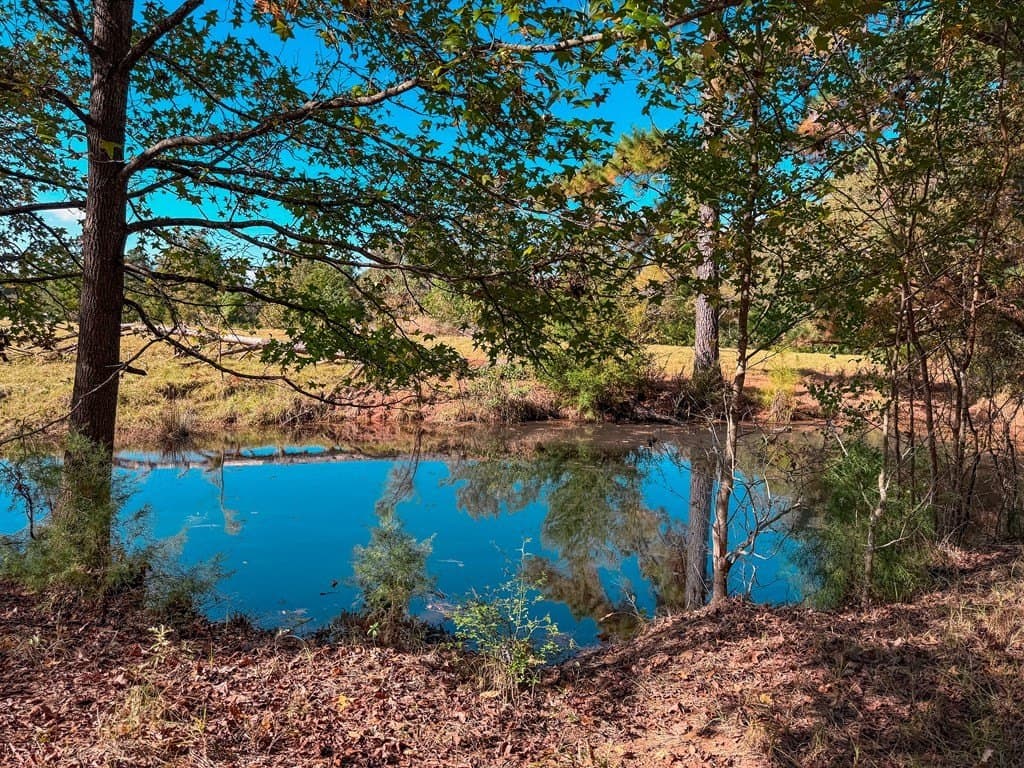 4.97 acres in ANDERSON County - photo 18