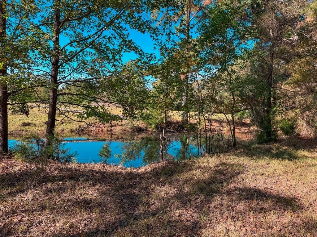 4.97 acres in ANDERSON County - photo 17