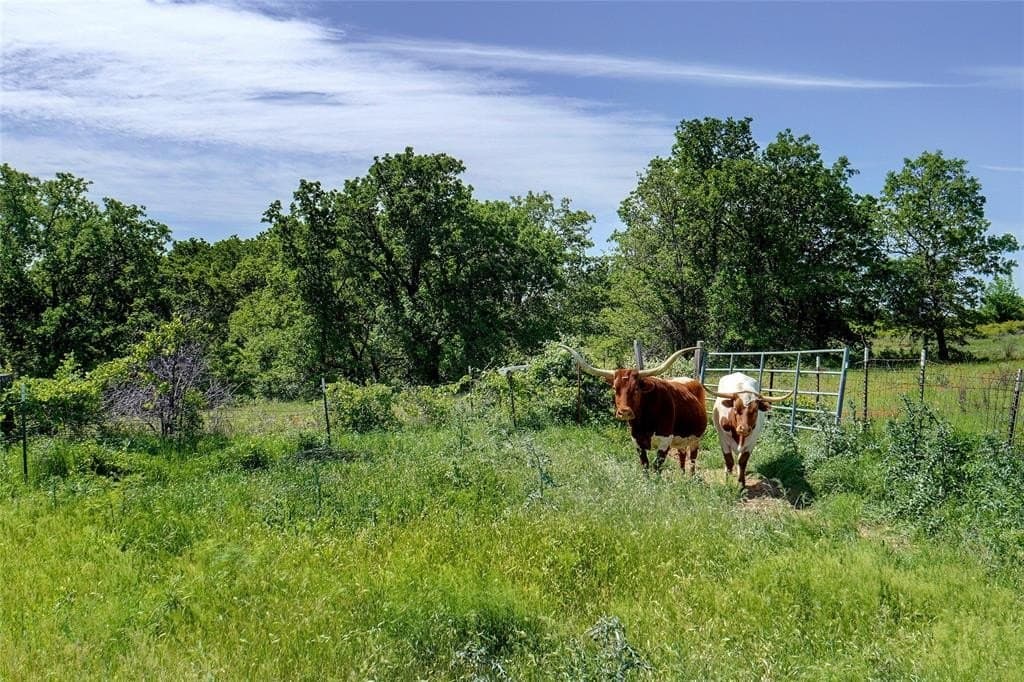 20.93 acres in Wise County - photo 7