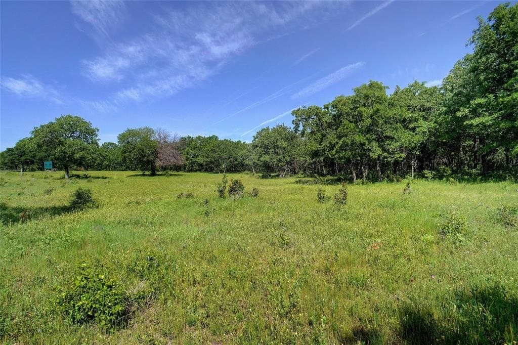 20.93 acres in Wise County - photo 5