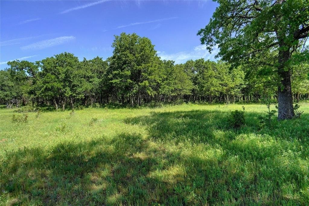 20.93 acres in Wise County - photo 4