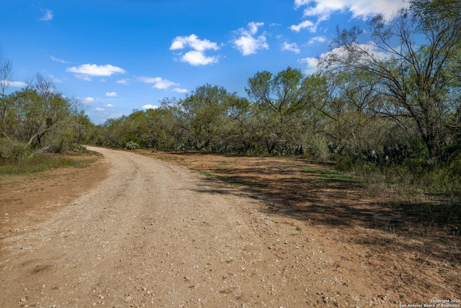 133 acres in Bexar County - photo 42