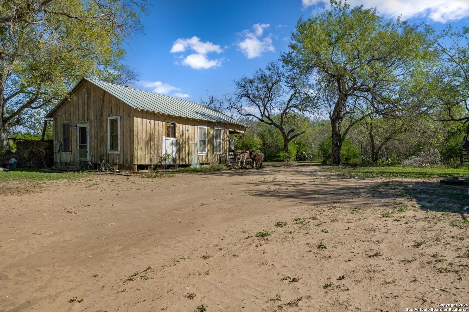 133 acres in Bexar County - photo 36