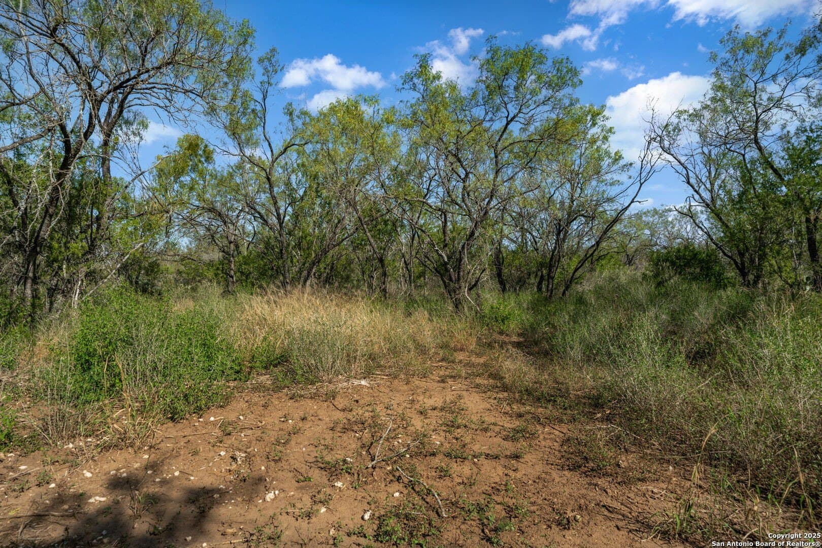 133 acres in Bexar County - photo 32