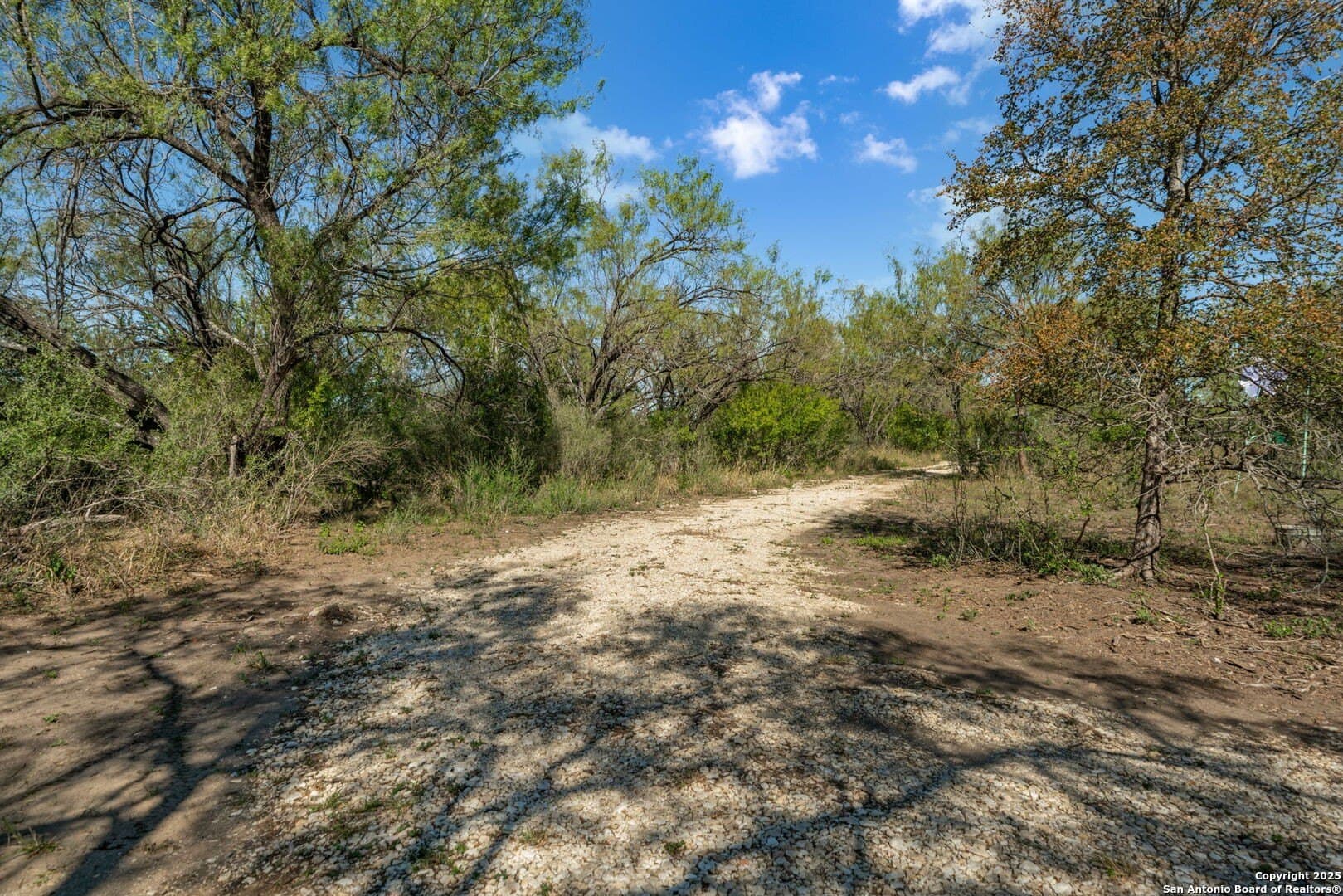133 acres in Bexar County - photo 29