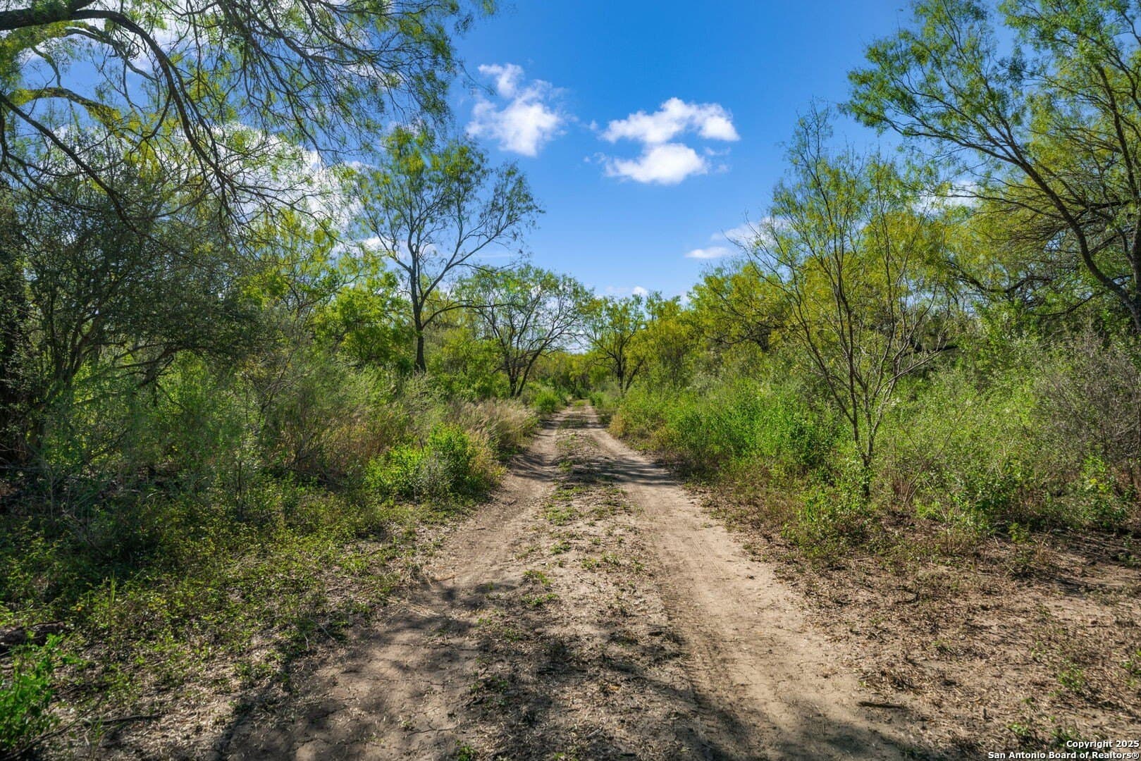 133 acres in Bexar County - photo 27