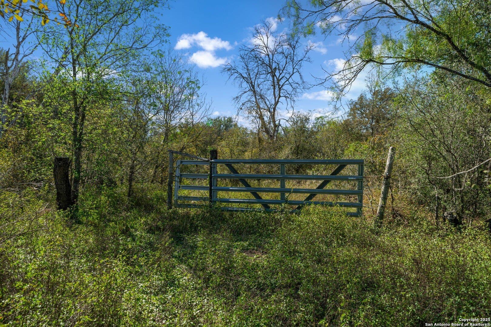 133 acres in Bexar County - photo 38