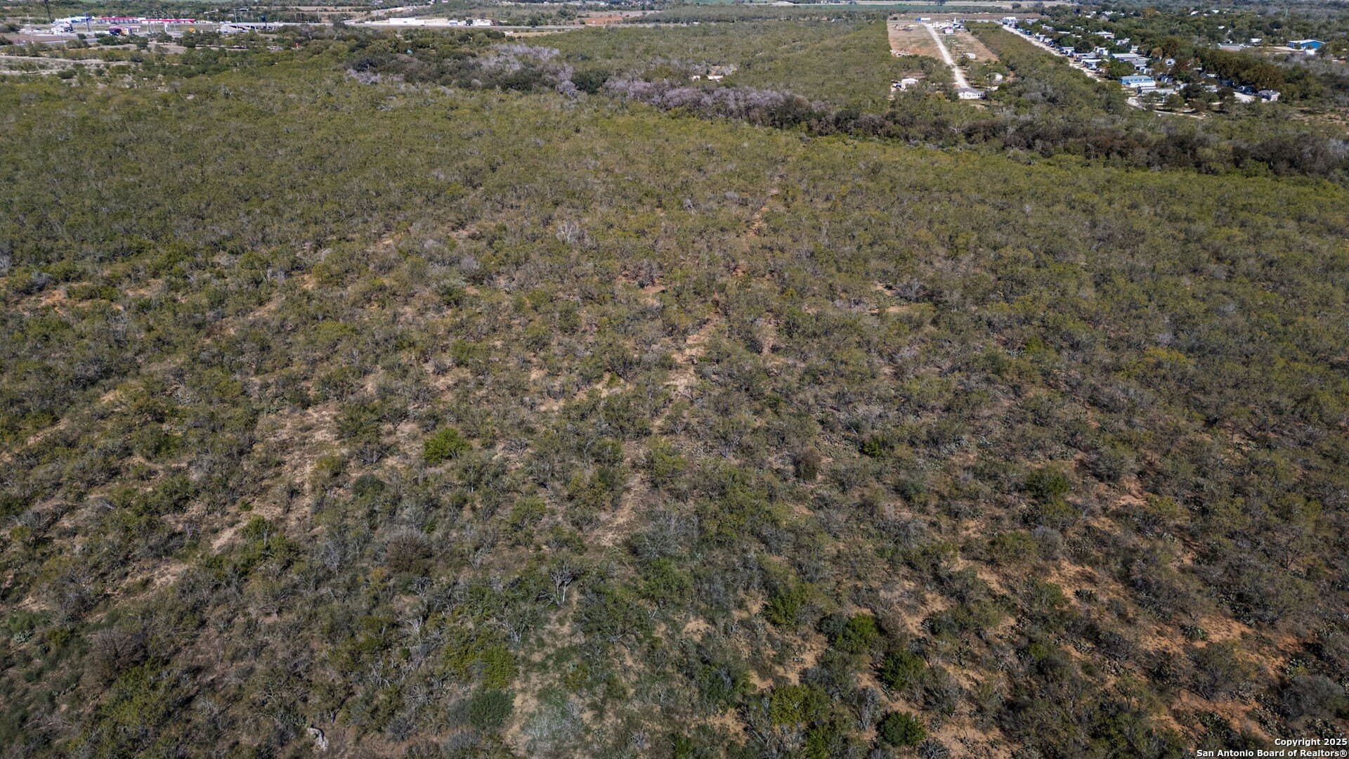133 acres in Bexar County - photo 13