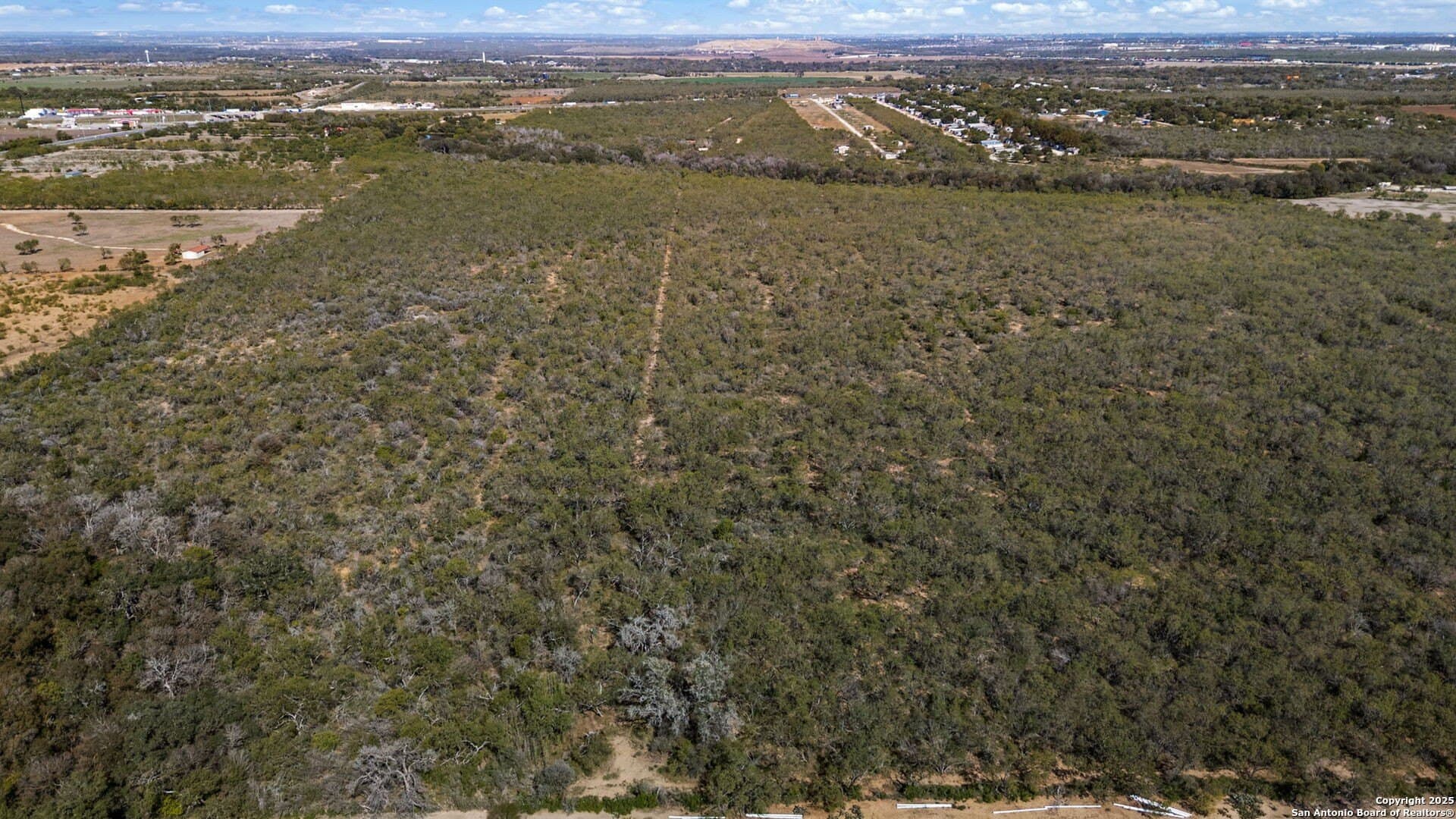 133 acres in Bexar County - photo 8