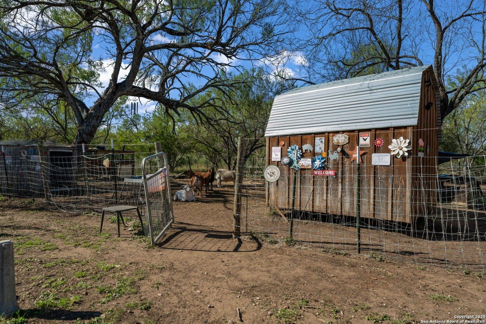 133 acres in Bexar County - photo 25