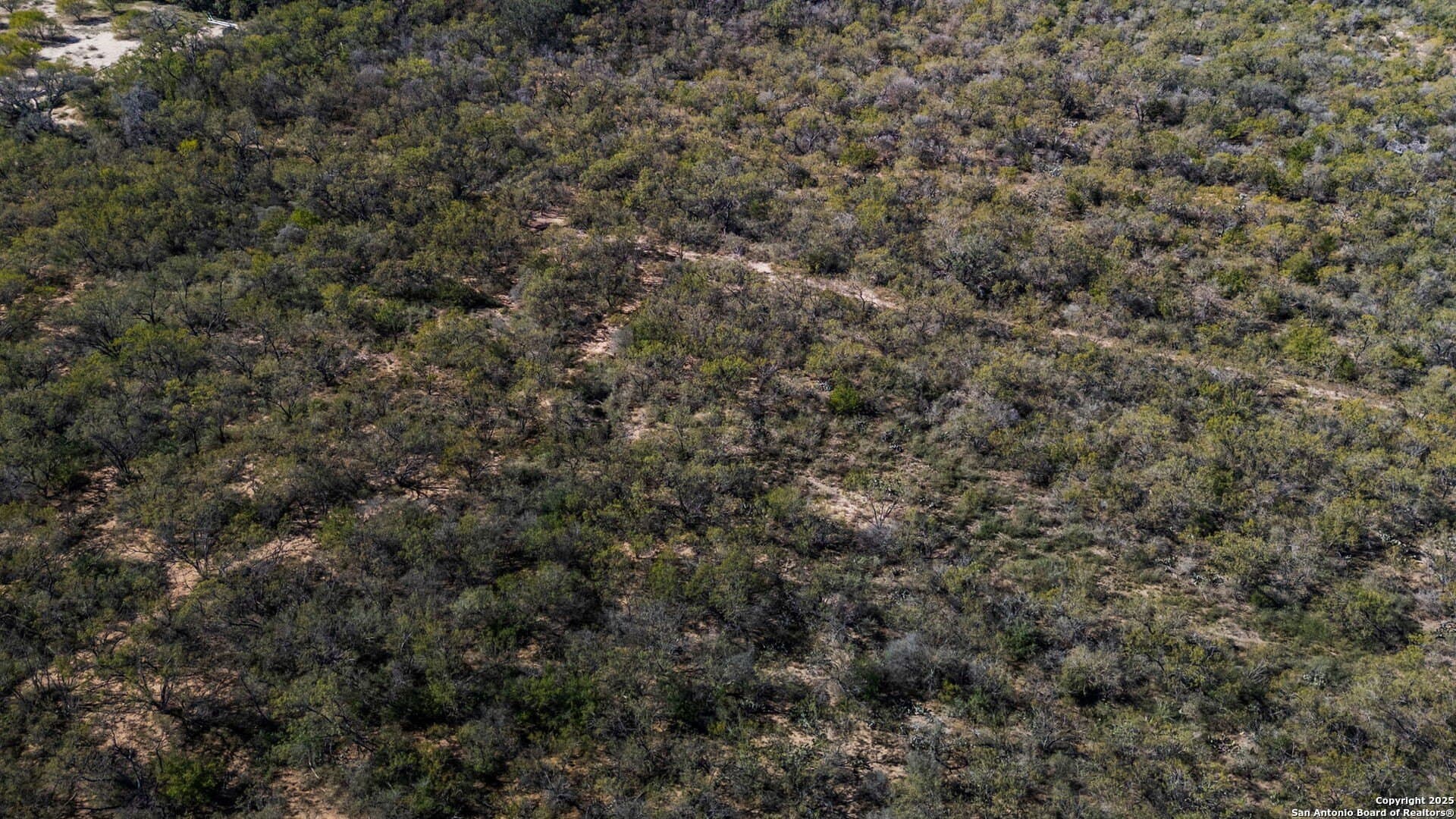 133 acres in Bexar County - photo 11