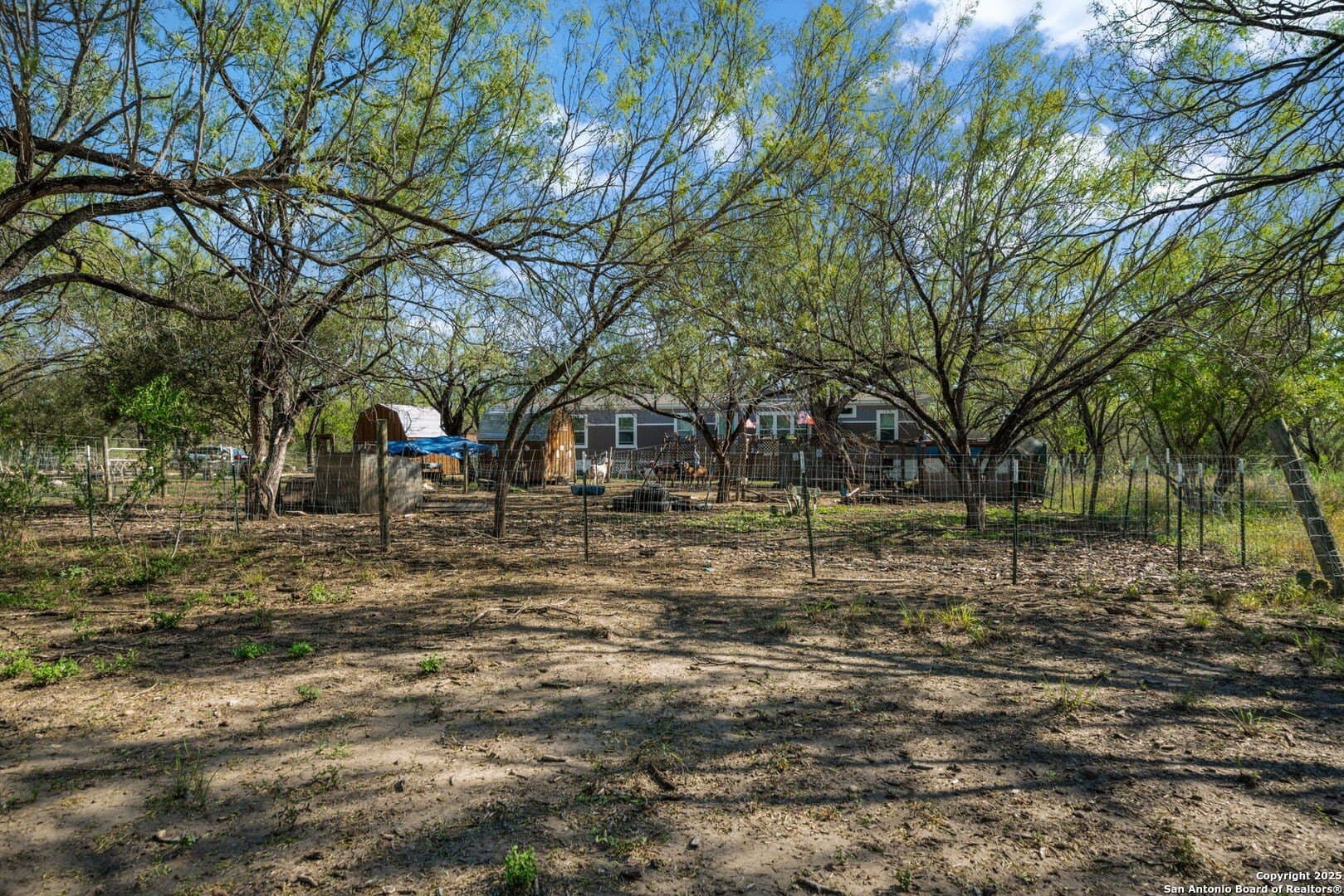 133 acres in Bexar County - photo 28
