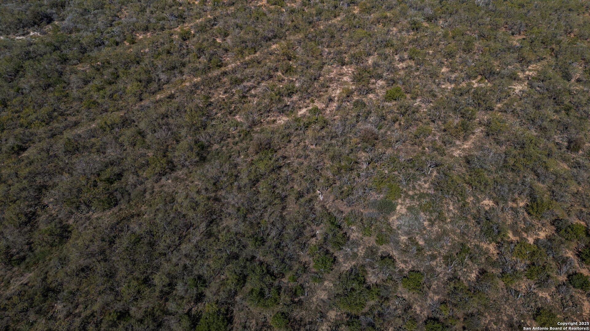 133 acres in Bexar County - photo 12