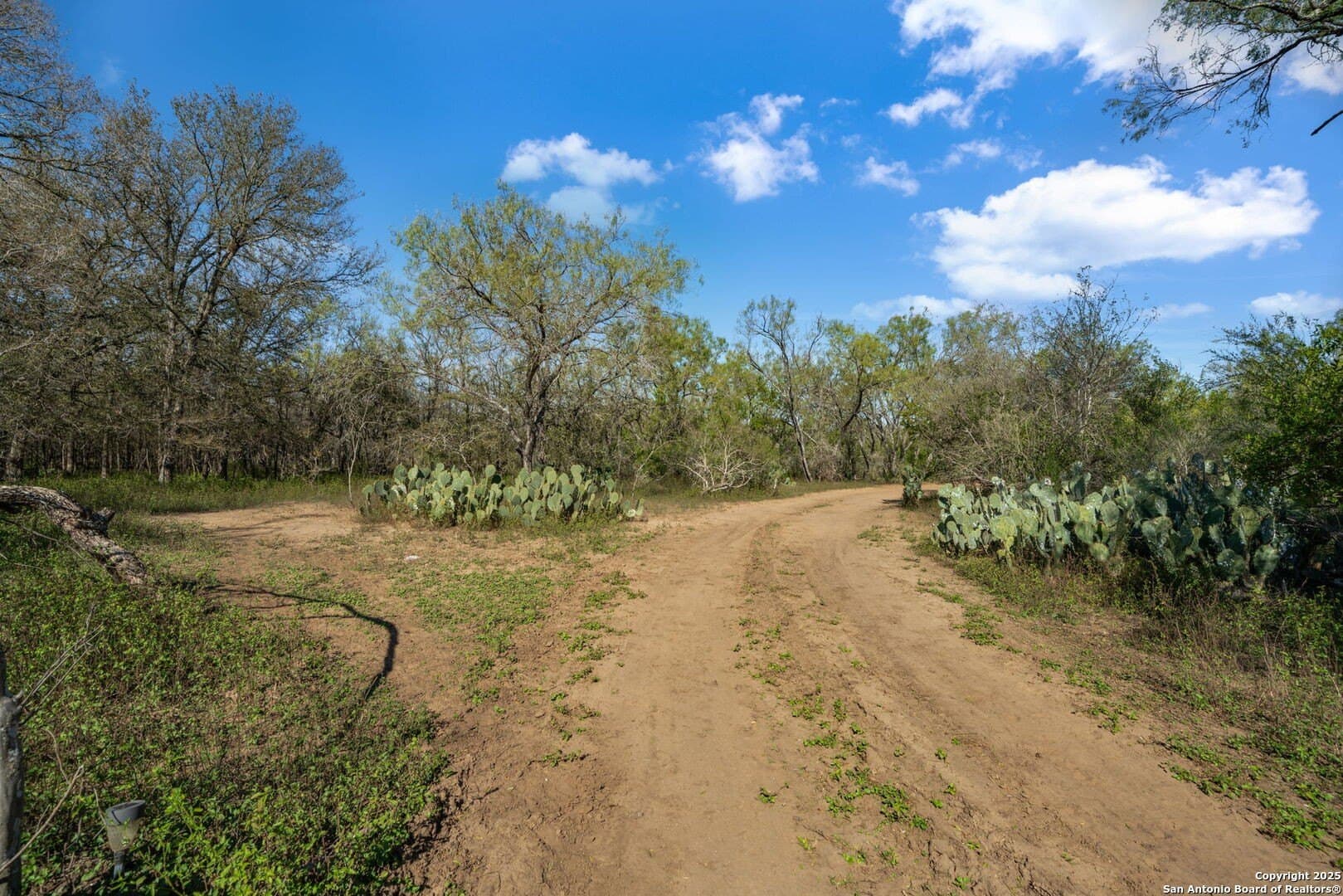 133 acres in Bexar County - photo 37