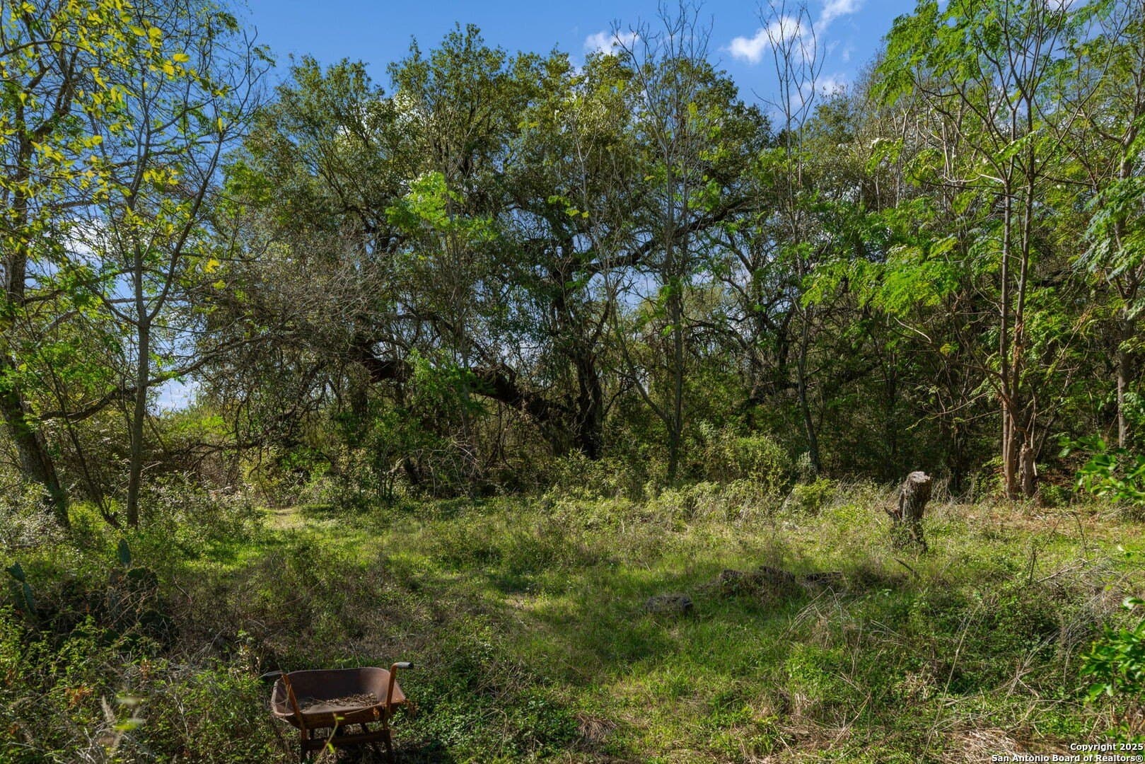 133 acres in Bexar County - photo 40
