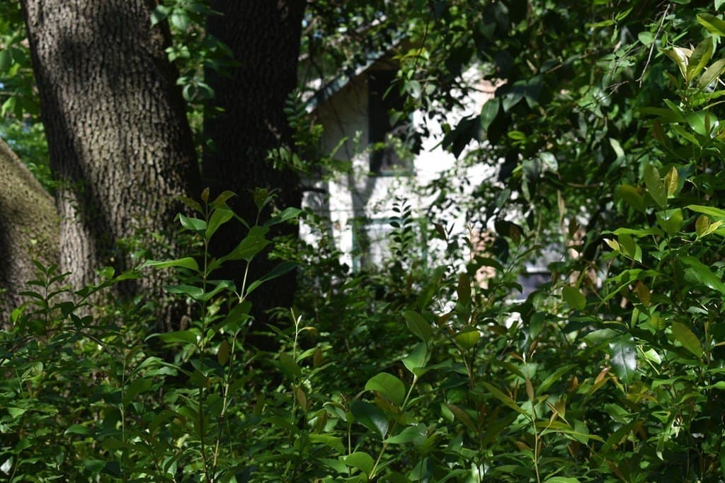 0.16 acres in Henderson County - photo 7