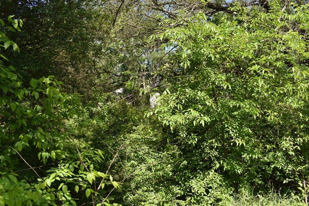 0.16 acres in Henderson County - photo 3