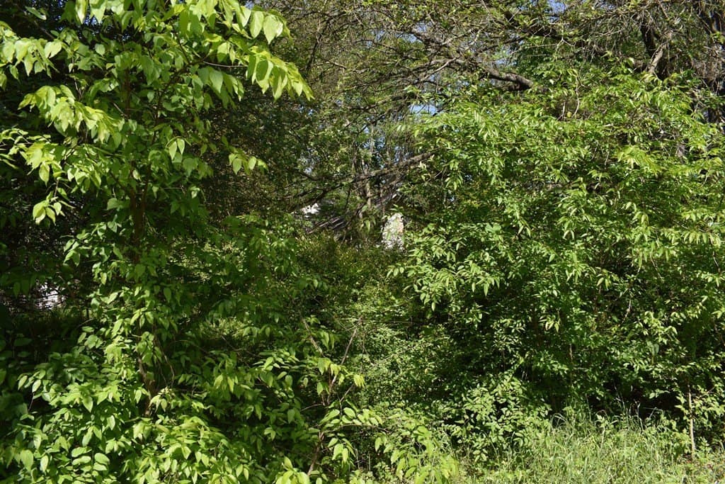 0.16 acres in Henderson County - photo 4