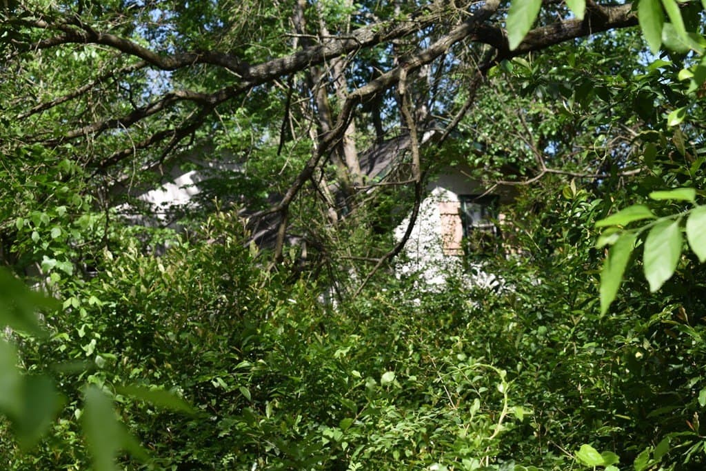 0.16 acres in Henderson County - photo 5