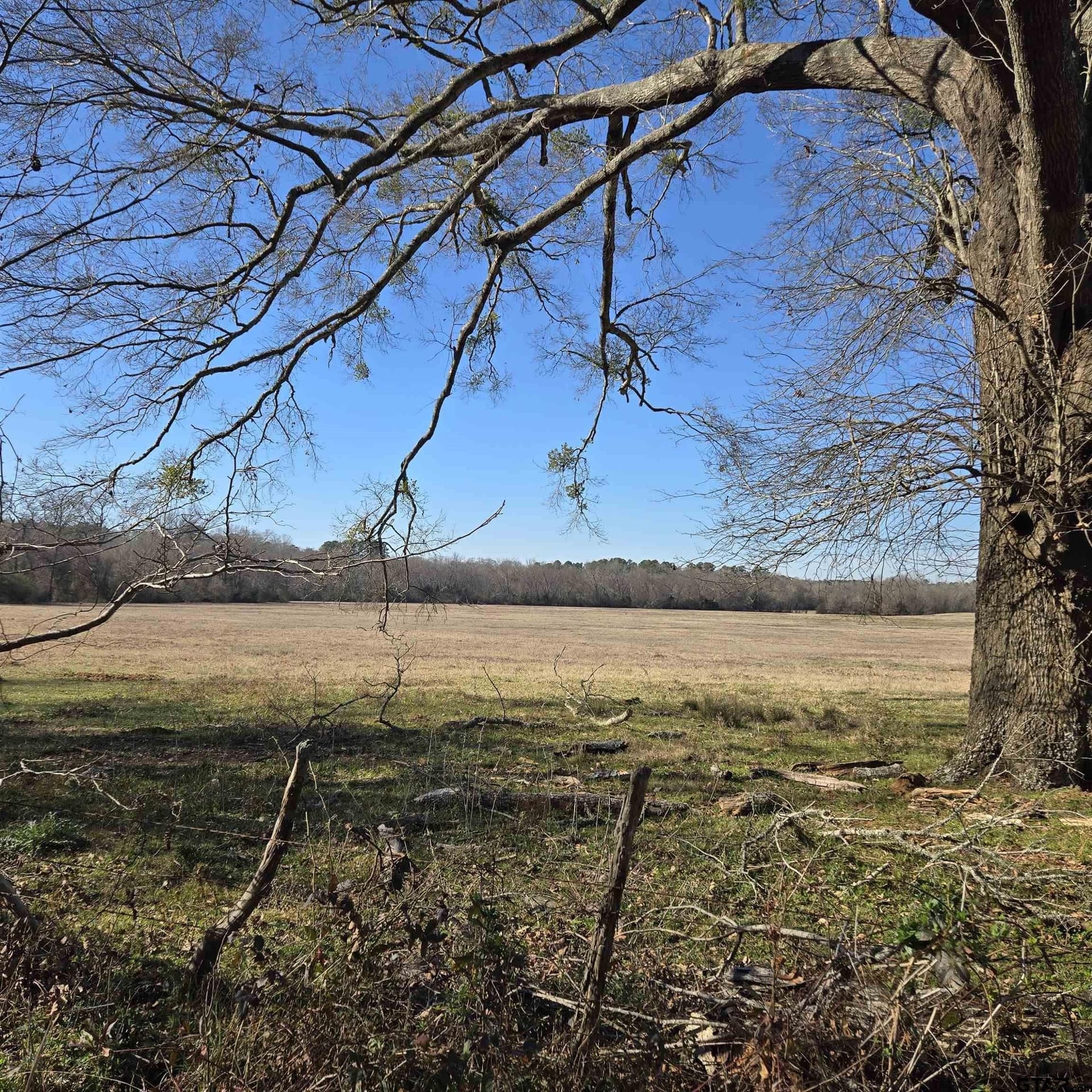 276.35 acres in Smith County - photo 2