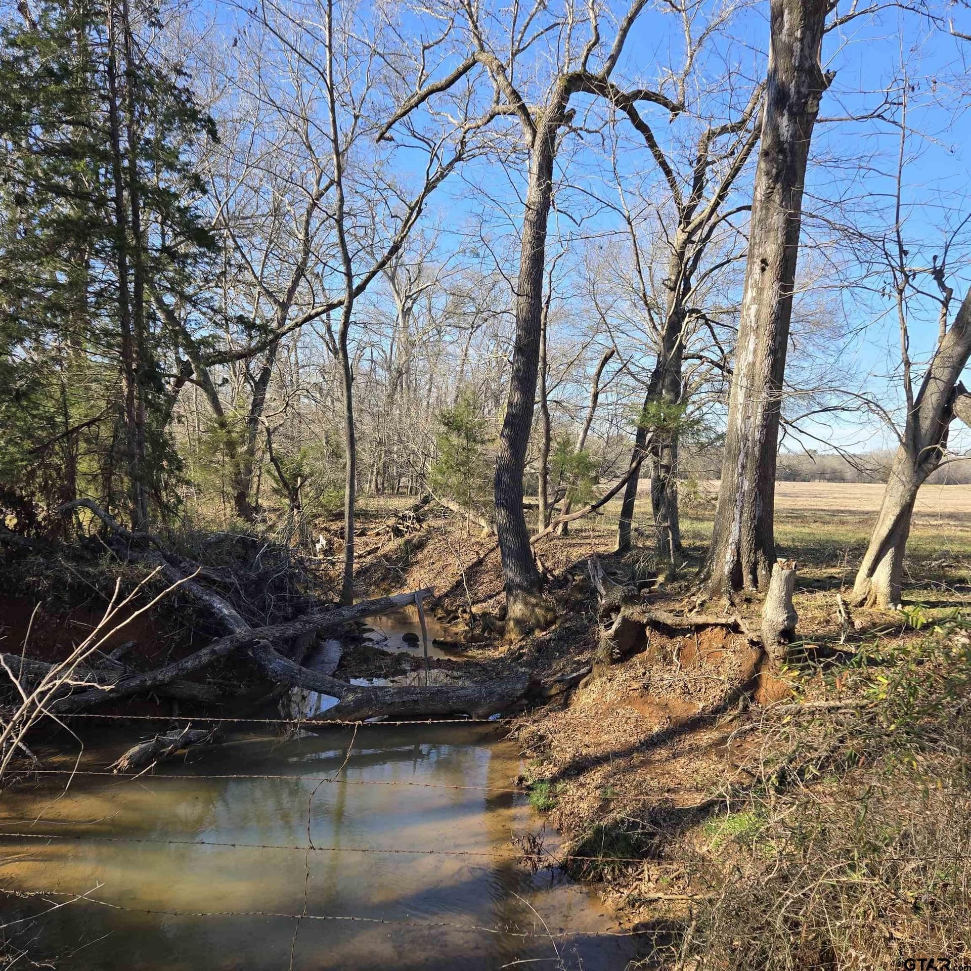 276.35 acres in Smith County - photo 3