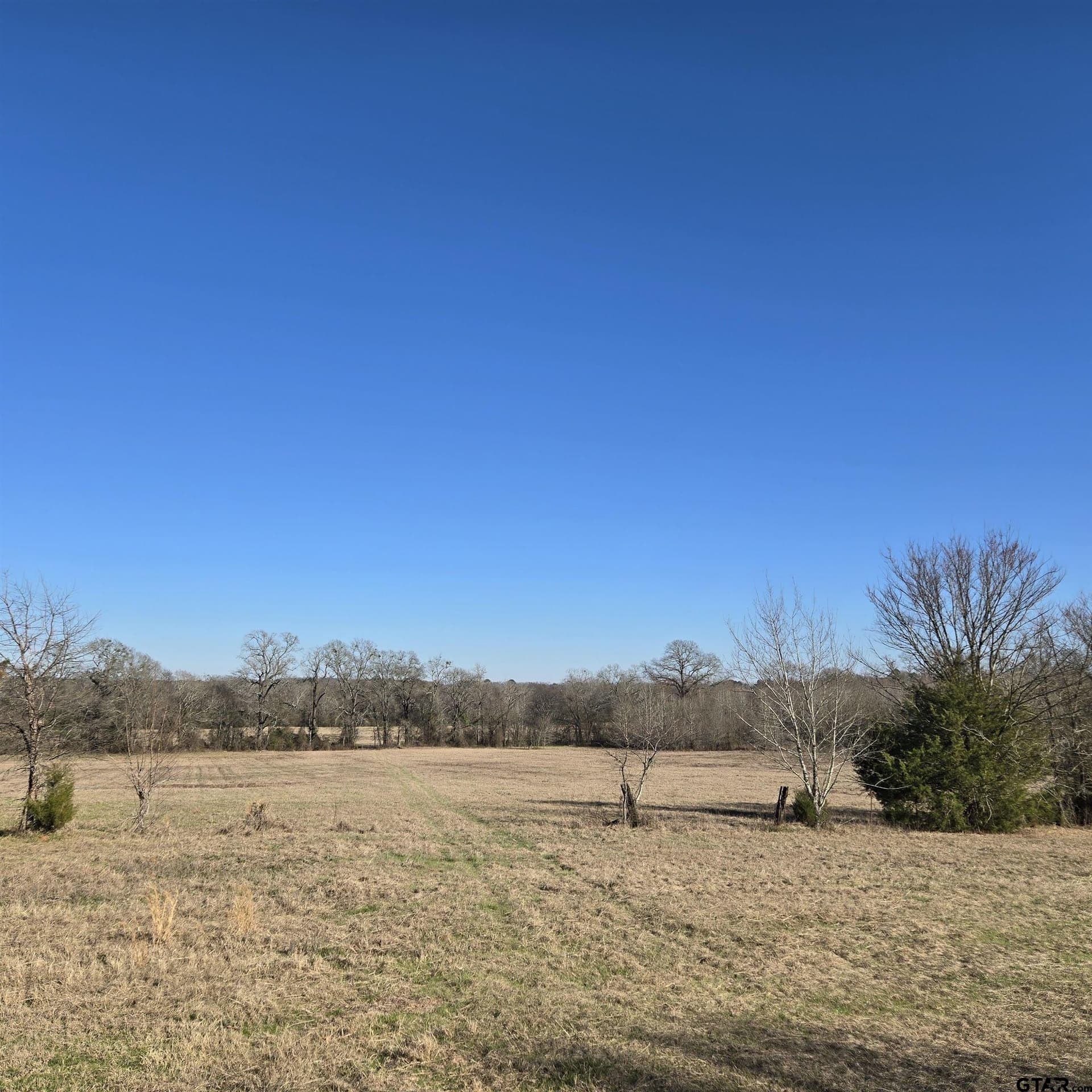 276.35 acres in Smith County - photo 9
