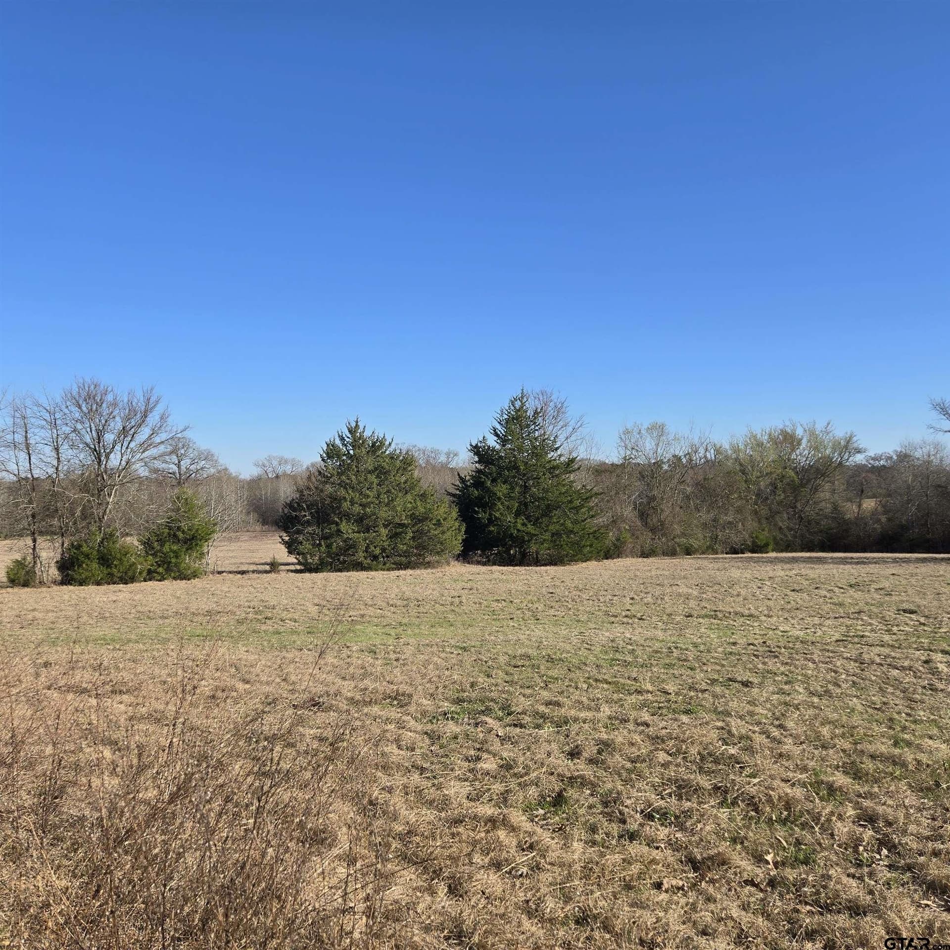 276.35 acres in Smith County - photo 12