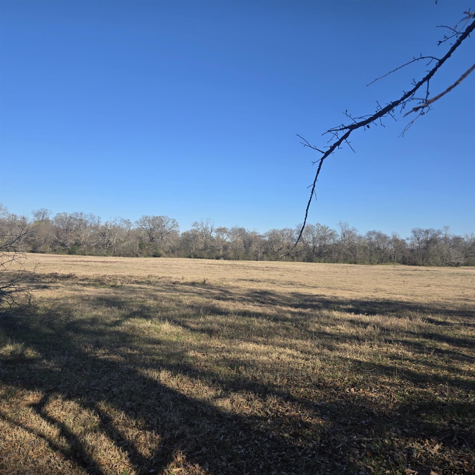 276.35 acres in Smith County - photo 5