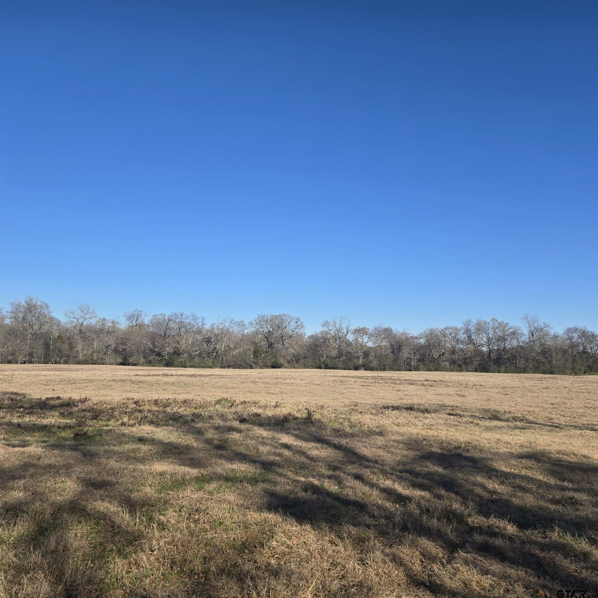 276.35 acres in Smith County - photo 6