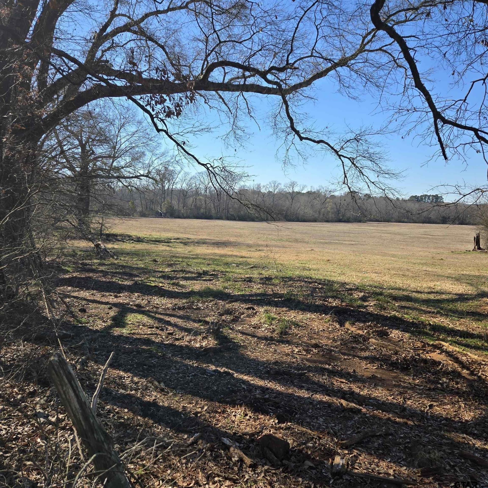 TBD COUNTY ROAD 1106