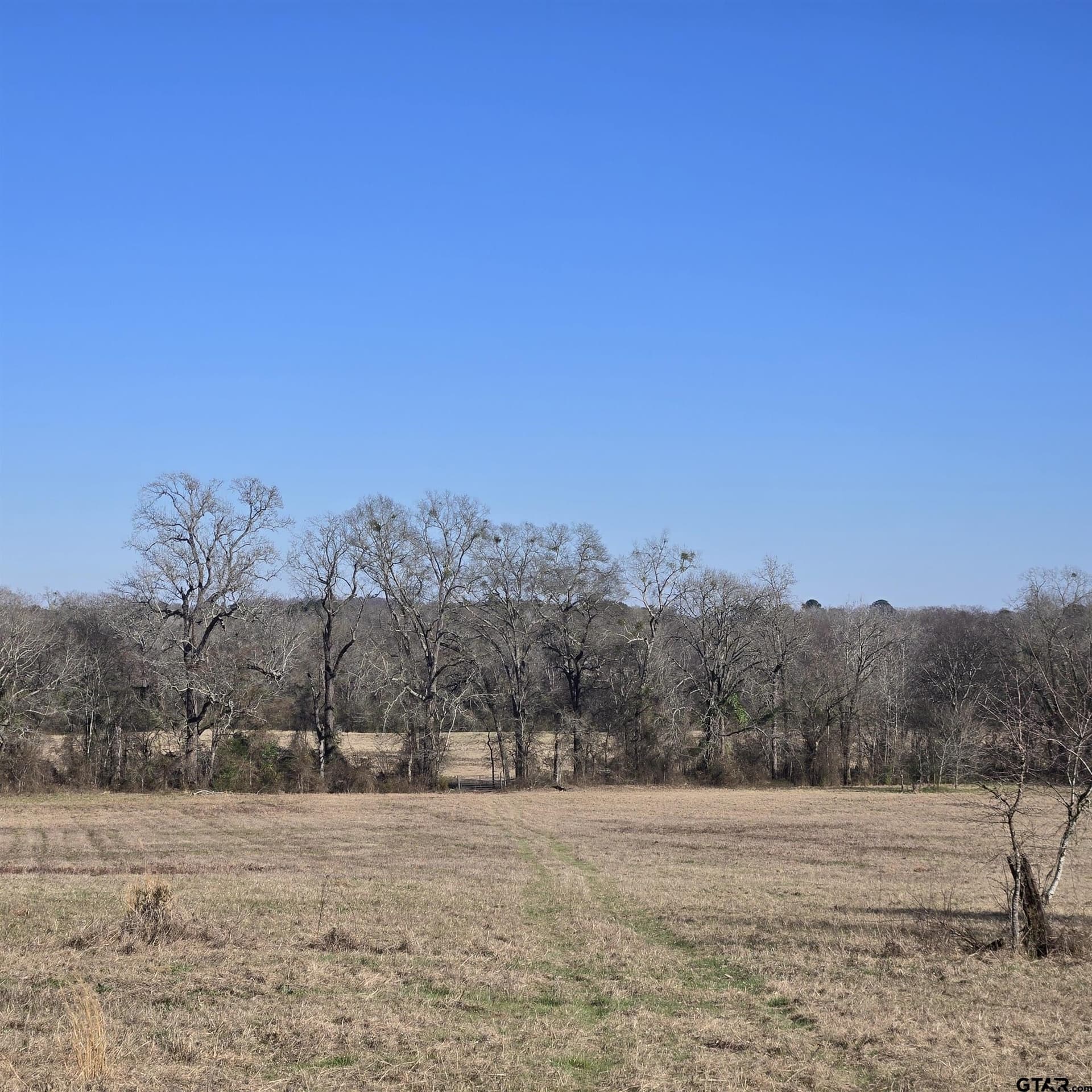 276.35 acres in Smith County - photo 8
