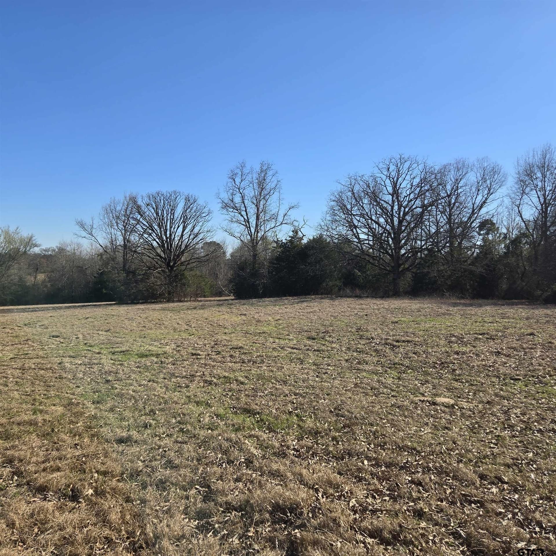 276.35 acres in Smith County - photo 10