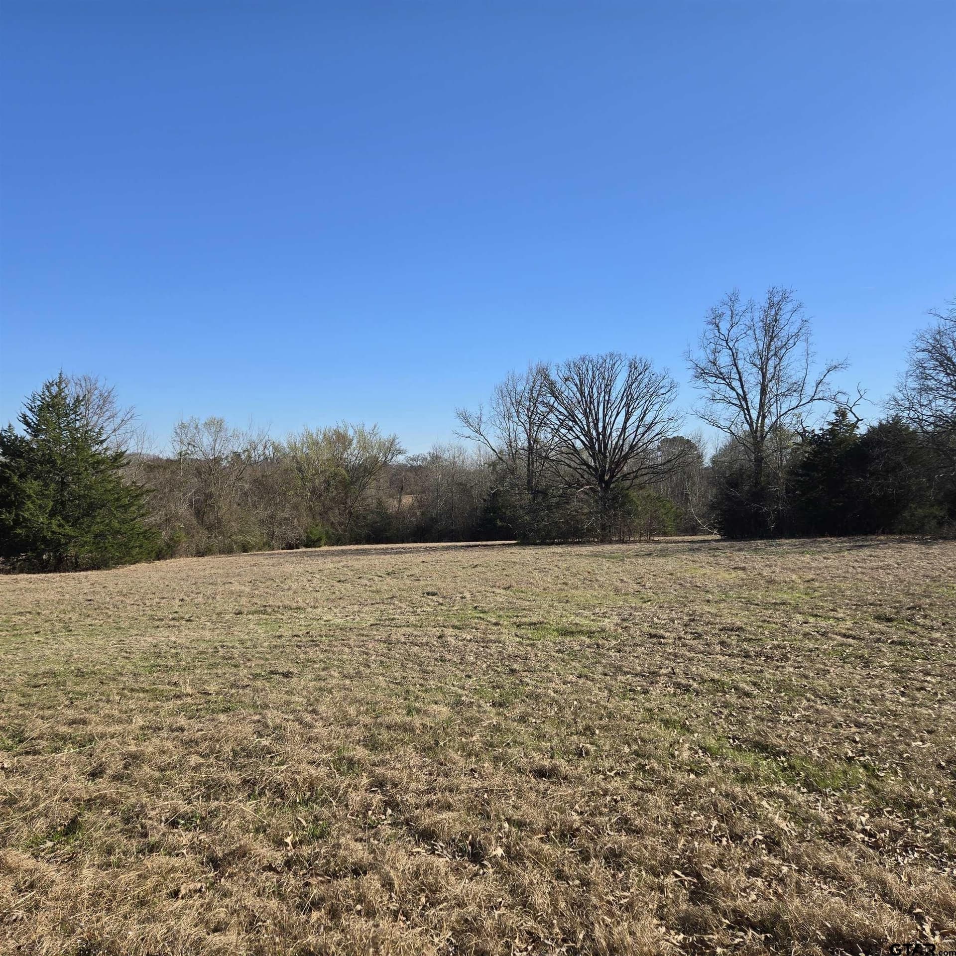276.35 acres in Smith County - photo 11