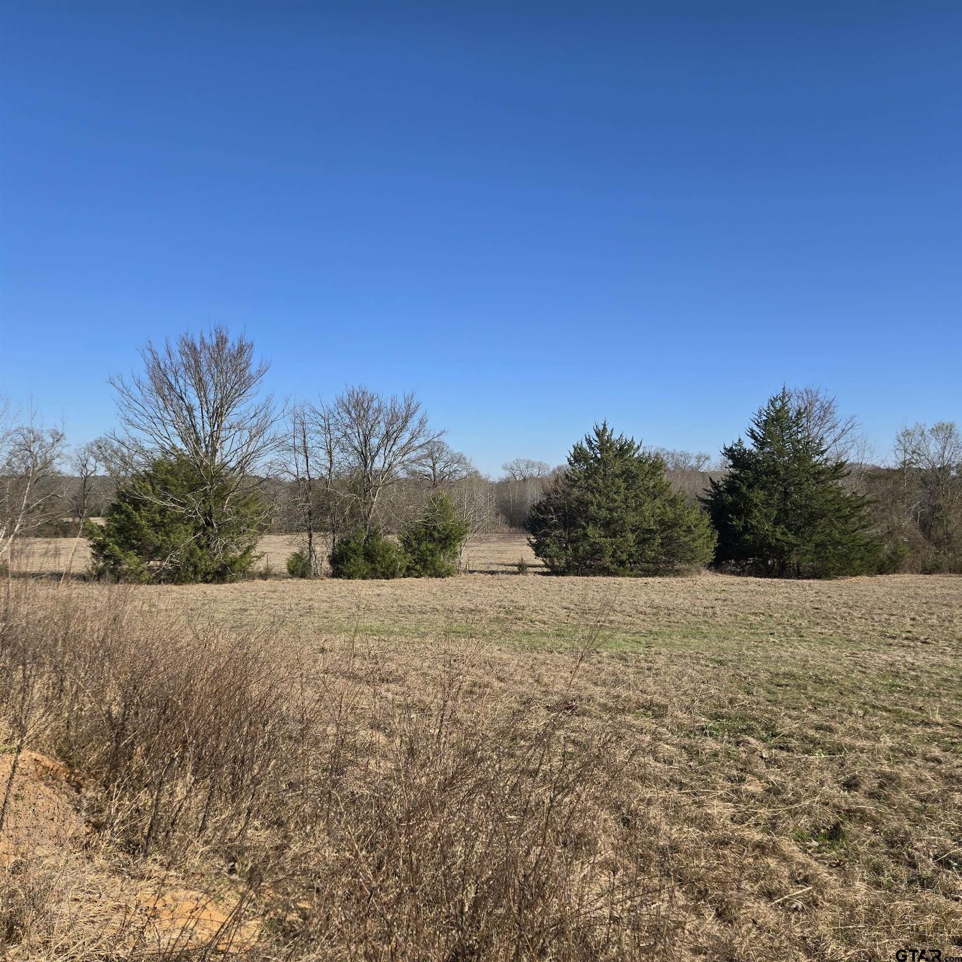 276.35 acres in Smith County - photo 14