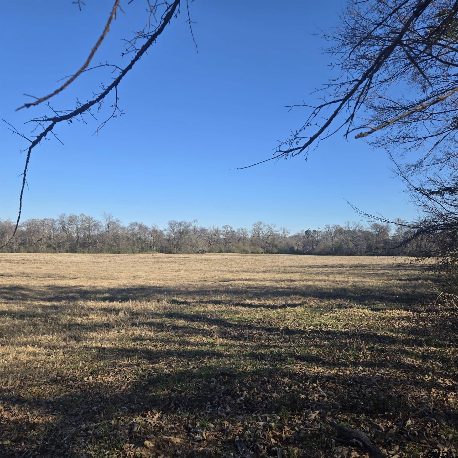 276.35 acres in Smith County - photo 4