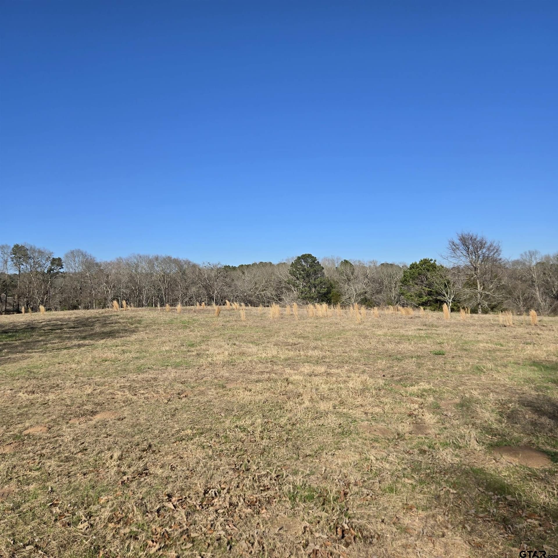 276.35 acres in Smith County - photo 13