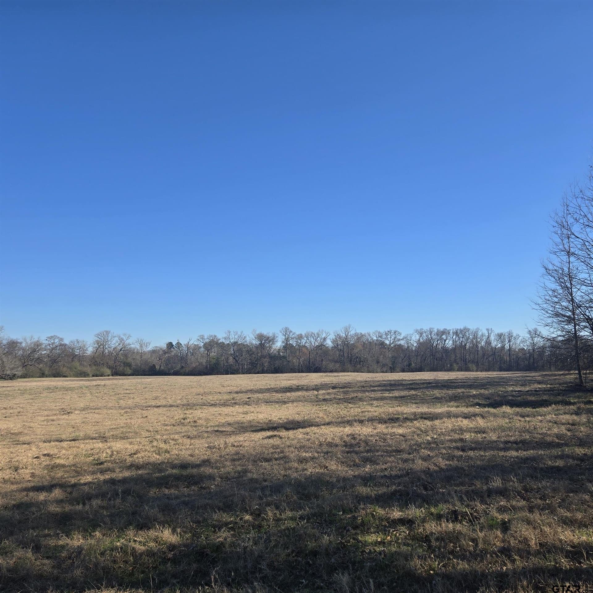 276.35 acres in Smith County - photo 7