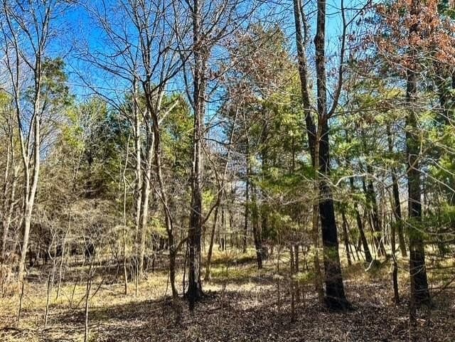 24.17 acres in Rains County - photo 7