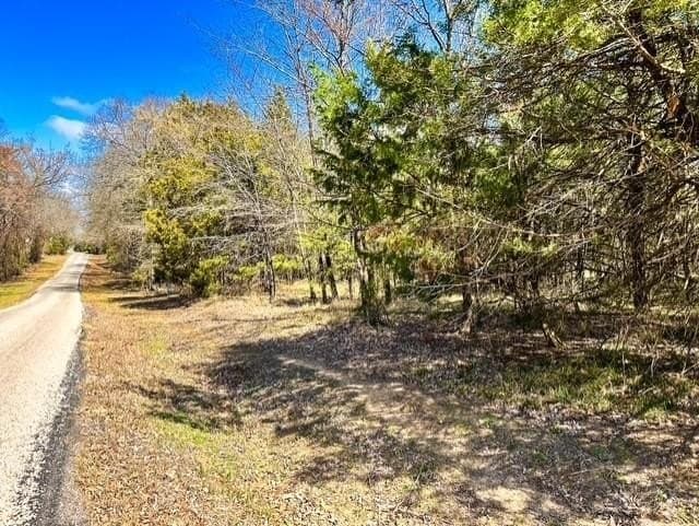 24.17 acres in Rains County - photo 6
