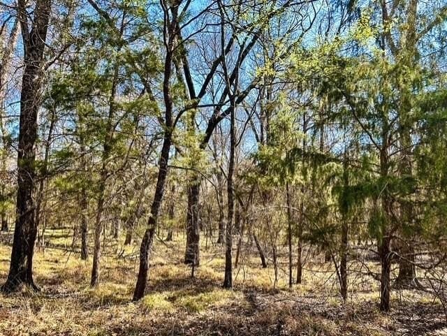 24.17 acres in Rains County - photo 8