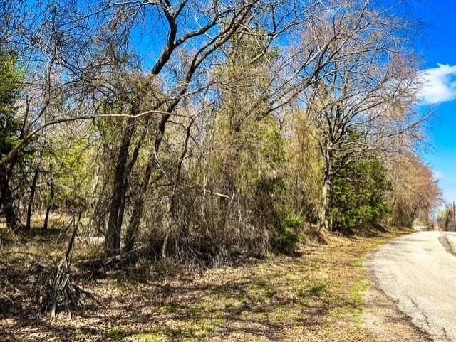 24.17 acres in Rains County - photo 17