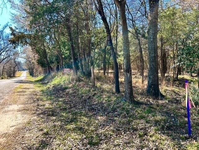 24.17 acres in Rains County - photo 14