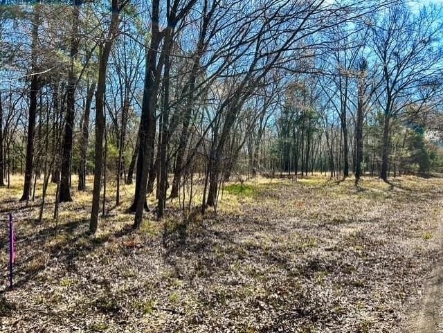 24.17 acres in Rains County - photo 13