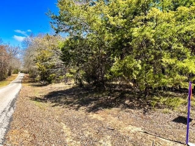24.17 acres in Rains County - photo 16