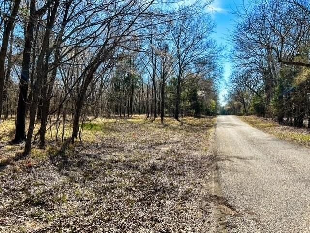 24.17 acres in Rains County - photo 12