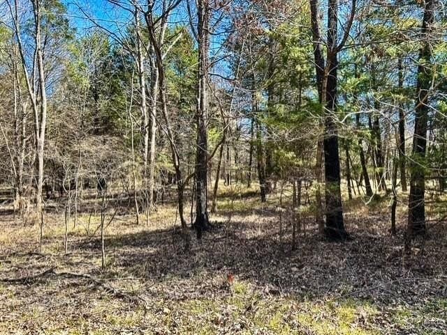 24.17 acres in Rains County - photo 11